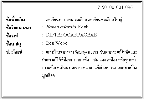 กล่องข้อความ: 7-50100-001-096 ชื่อพื้นเมือง : ตะเคียนทอง แคน จะเคียน ตะเคียน ตะเคียนใหญ่ ชื่อวิทยาศาสตร์ : Hopea odorata Roxb. ชื่อวงศ์ : DIPTEROCARPACEAE ชื่อสามัญ : Iron Wood ประโยชน์ : แก่นมีรสขมหวาน รักษาคุดทะราด ขับเสมหะ แก้โลหิตและกำเดา แก้ไข้ที่มีอาการแสดงที่ตา เช่น แดง เหลือง หรือขุ่นคล้ำ ยางแห้งบดเป็นผง รักษาบาดแผล แก้อักเสบ สมานแผล แก้บิดมูกเลือด
